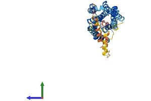 AlphaFold protein structure predicition of Human Recombinant PTGFR Protein, UniprotID P43088