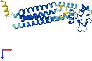 AlphaFold protein structure predicition of Human Recombinant TSPAN3 Protein, UniprotID O60637