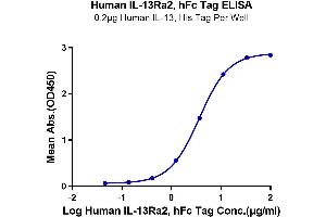 Immobilized Human IL-13, His Tag at 2 μg/mL (100 μL/well) on the plate.