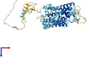 AlphaFold protein structure predicition of Mouse Recombinant Slc38a9 Protein, UniprotID Q8BGD6