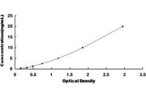 Typical standard curve (COL19 Kit ELISA)