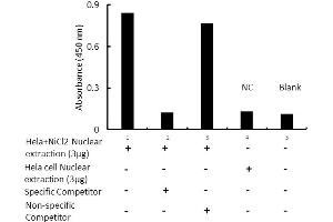 Transcription factor assay of p53 from nuclear extracts of HeLa cells or HeLa cells treated with NiCl2 with the specific competitor or non-specific competitor. (p53 Kit ELISA)