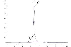 The purity of Biotinylated Human CD40L is greater than 90 % as determined by SEC-HPLC.