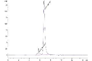 The purity of Biotinylated Human CD40L is greater than 90 % as determined by SEC-HPLC. (CD40 Ligand Protein (CD40LG) (Trimer) (His-DYKDDDDK Tag,Biotin))