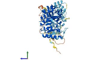 AlphaFold protein structure predicition of Human Recombinant PRAMEF13 Protein, UniprotID Q5VWM6