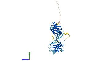 AlphaFold protein structure predicition of Human Recombinant NMI Protein, UniprotID Q13287