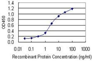 Detection limit for recombinant GST tagged PCDH11X is 0.