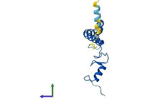 AlphaFold protein structure predicition of Mouse Recombinant Mrps14 Protein, UniprotID Q9CR88