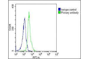 Overlay histogram showing Jurkat cells stained with (ABIN6242745 and ABIN6578761)(green line).