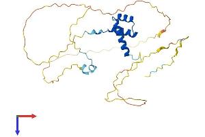AlphaFold protein structure predicition of Mouse Recombinant Nkx1-2 Protein, UniprotID P42580