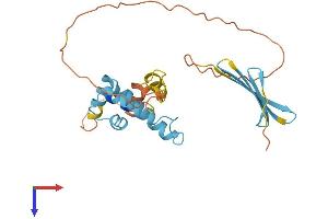 AlphaFold protein structure predicition of Mouse Recombinant Dnajb3 Protein, UniprotID O35723