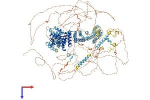 AlphaFold protein structure predicition of Human Recombinant EIF4G1 Protein, UniprotID Q04637