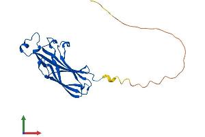 AlphaFold protein structure predicition of Mouse Recombinant Asf1a Protein, UniprotID Q9CQE6