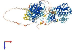 AlphaFold protein structure predicition of Human Recombinant RPS6KA1 Protein, UniprotID Q15418
