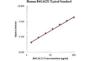 ELISA image for UDP-Gal:betaGlcNAc beta 1,4 Galactosyltransferase, Polypeptide 1 (B4GALT1) ELISA Kit (ABIN3198501) (B4GALT1 Kit ELISA)