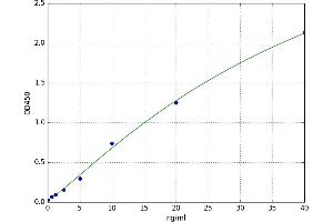 Complement Component C4d (C4d) ELISA Kit