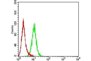 Flow cytometric analysis of Hela cells using LILRB1 mouse mAb (green) and negative control (red).