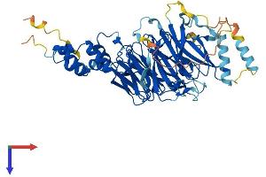 AlphaFold protein structure predicition of Human Recombinant FBXW5 Protein, UniprotID Q969U6