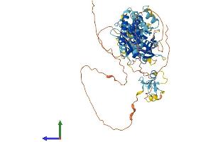 AlphaFold protein structure predicition of Mouse Recombinant Rnf112 Protein, UniprotID Q96DY5