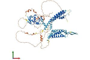 AlphaFold protein structure predicition of Human Recombinant KCNC4 Protein, UniprotID Q03721