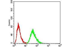Flow cytometric analysis of Hela cells using RF1 mouse mAb (green) and negative control (red).