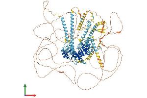 AlphaFold protein structure predicition of Mouse Recombinant Ercc5 Protein, UniprotID P35689