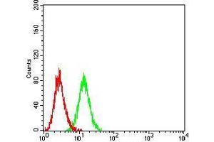Flow cytometric analysis of Ramos cells using CD100 mouse mAb (green) and negative control (red).