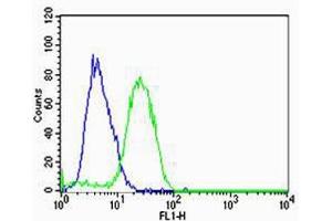 Flow cytometric analysis of U-87 MG cells using HBG2 Antibody (C-term)(green, Cat(ABIN1944740 and ABIN2838564)) compared to an isotype control of rabbit IgG(blue).