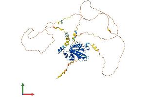 AlphaFold protein structure predicition of Human Recombinant CDC25A Protein, UniprotID P30304