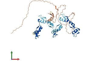 AlphaFold protein structure predicition of Human Recombinant ZNF134 Protein, UniprotID P52741