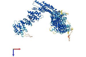 AlphaFold protein structure predicition of Mouse Recombinant Ncapg2 Protein, UniprotID Q6DFV1