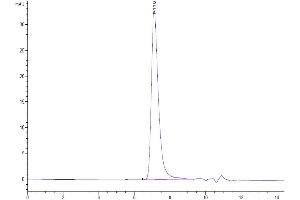 The purity of Human IL-1R3 is greater than 95 % as determined by SEC-HPLC. (IL1RAP Protein (AA 21-359) (His-Avi Tag))