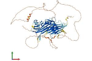 AlphaFold protein structure predicition of Mouse Recombinant Ston1 Protein, UniprotID Q8CDJ8