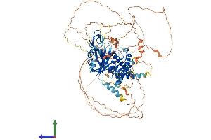 AlphaFold protein structure predicition of Human Recombinant USP1 Protein, UniprotID O94782