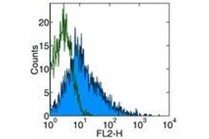 anti-Inducible T-Cell Co-Stimulator (ICOS) antibody