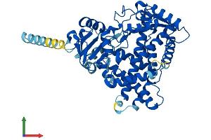 AlphaFold protein structure predicition of Mouse Recombinant Cyp2c39 Protein, UniprotID P56656