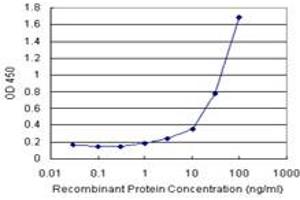 Sandwich ELISA detection sensitivity ranging from 1 ng/mL to 100 ng/mL. (B2M (Humain) Matched Antibody Pair)