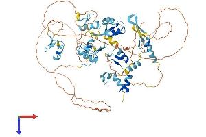 AlphaFold protein structure predicition of Human Recombinant ZNF800 Protein, UniprotID Q2TB10