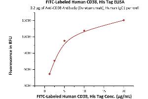 Immobilized A Antibody (Daratumumab), Human IgG1 at 2 μg/mL (100 μL/well) can bind Fed Human CD38, His Tag (ABIN6972986) with a linear range of 1. (CD38 Protein (AA 43-300) (His tag,FITC))