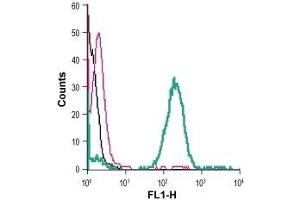 Cell surface detection of Zinc transporter ZIP8 in live intact human THP-1 acute monocytic leukemia cells: (black line) Cells.