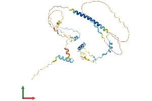 AlphaFold protein structure predicition of Mouse Recombinant Mtfr2 Protein, UniprotID Q8VED8