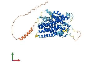 AlphaFold protein structure predicition of Human Recombinant SLC38A1 Protein, UniprotID Q9H2H9
