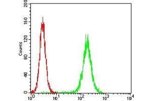 Flow cytometric analysis of Hela cells using PKN1 mouse mAb (green) and negative control (red).