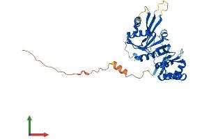 AlphaFold protein structure predicition of Human Recombinant CENPL Protein, UniprotID Q8N0S6