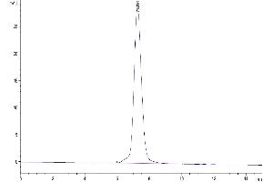 The purity of Human IL-1 Rrp2 is greater than 95 % as determined by SEC-HPLC.