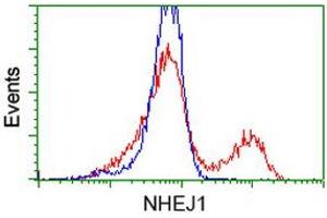 Flow Cytometry (FACS) image for anti-Nonhomologous End-Joining Factor 1 (NHEJ1) antibody (ABIN1499732) (NHEJ1 anticorps)