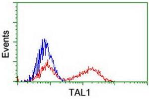 Flow Cytometry (FACS) image for anti-T-Cell Acute Lymphocytic Leukemia 1 (TAL1) antibody (ABIN1501288) (TAL1 anticorps)
