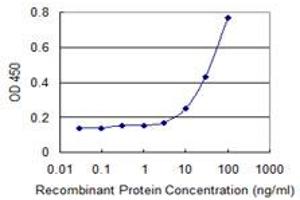 Detection limit for recombinant GST tagged HIPK1 is 3 ng/ml as a capture antibody. (HIPK1 anticorps  (AA 330-430))