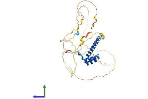 AlphaFold protein structure predicition of Mouse Recombinant Cdx2 Protein, UniprotID P43241