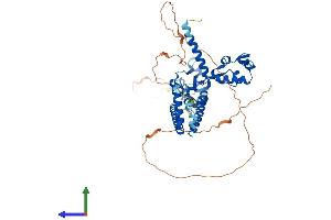 AlphaFold protein structure predicition of Mouse Recombinant Smarcd2 Protein, UniprotID Q99JR8